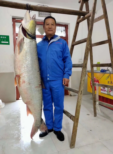 新鲜直达！农牧餐三合一，健康美食大热