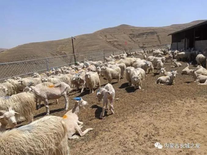 在乡村大地上，勇往直前的和谐共生农牧场小分队探索自然之旅