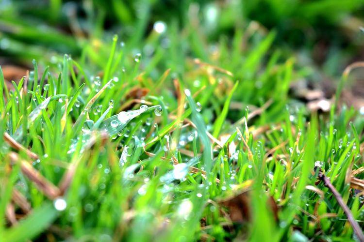 冬日英雄联盟：绚丽战衣下的冰雪奇缘