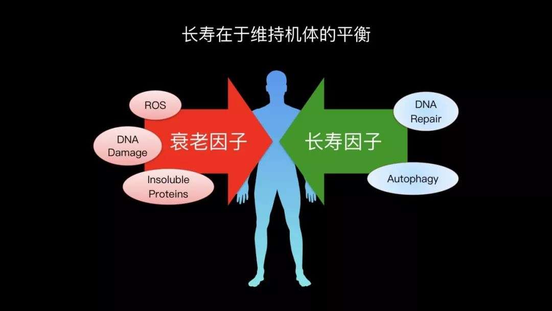 氪金矿：游戏背后的财富密码