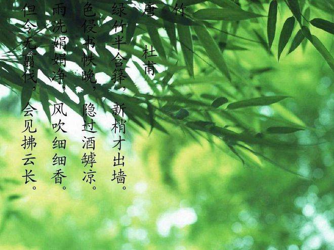大话西游主页_大话西游ⅱ端游_大话西游官方主页