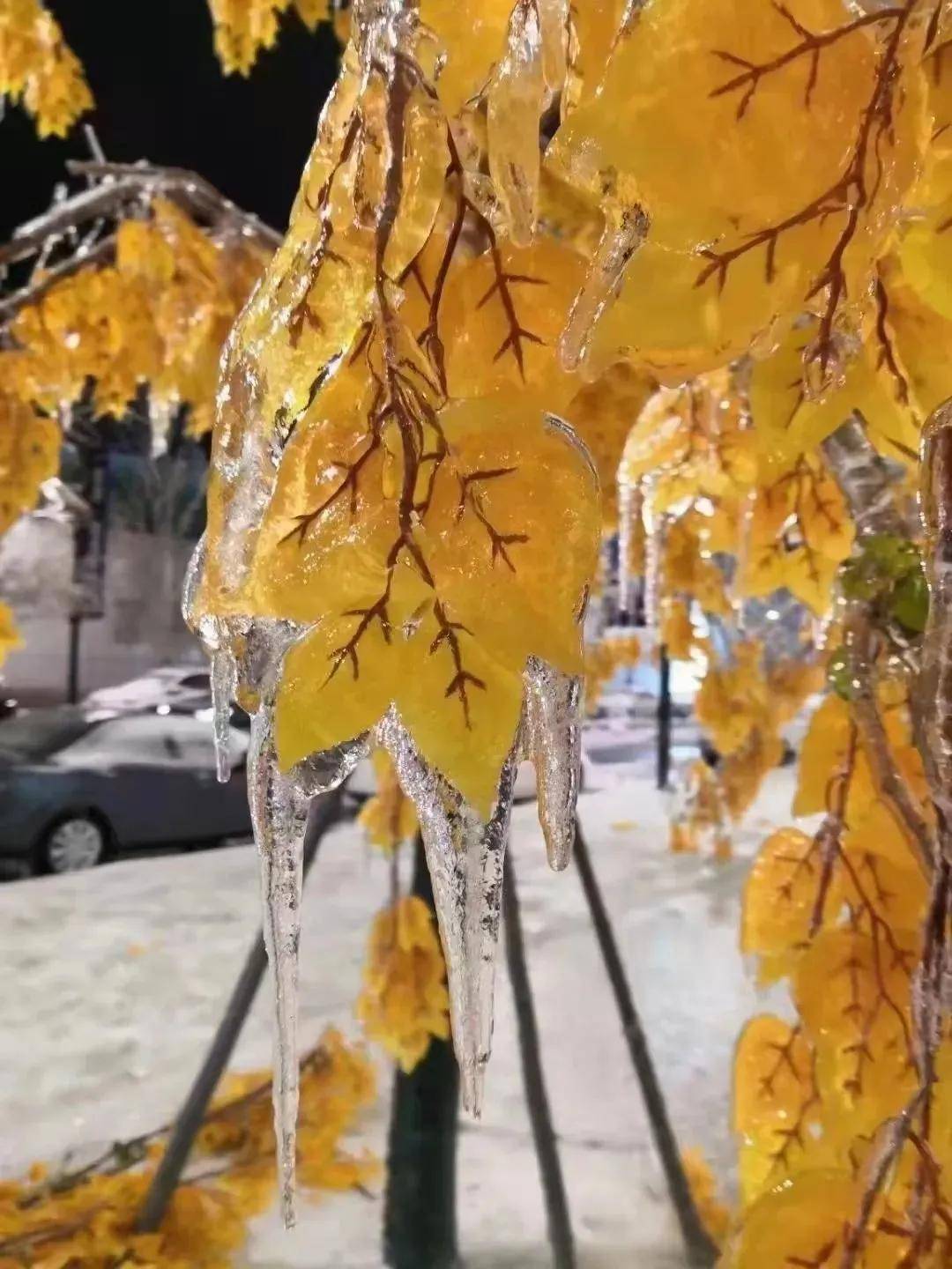 北国冰城：冰雪奇缘与独特韵味